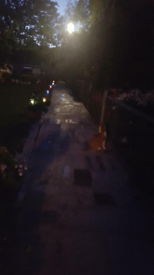 Roza Wiatrow Dom Wypoczynkowy Kołobrzeg Exteriör bild